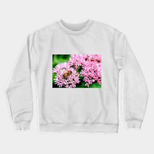 Bee On Stonecrop Flower 2 Crewneck Sweatshirt